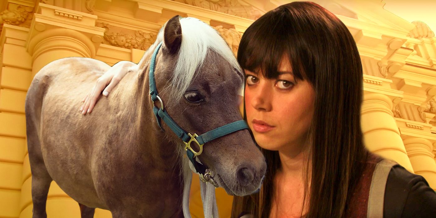 Parks & Rec's Aubrey Plaza et Lil Sebastian font équipe pour la ligne de piquetage de grève des acteurs
