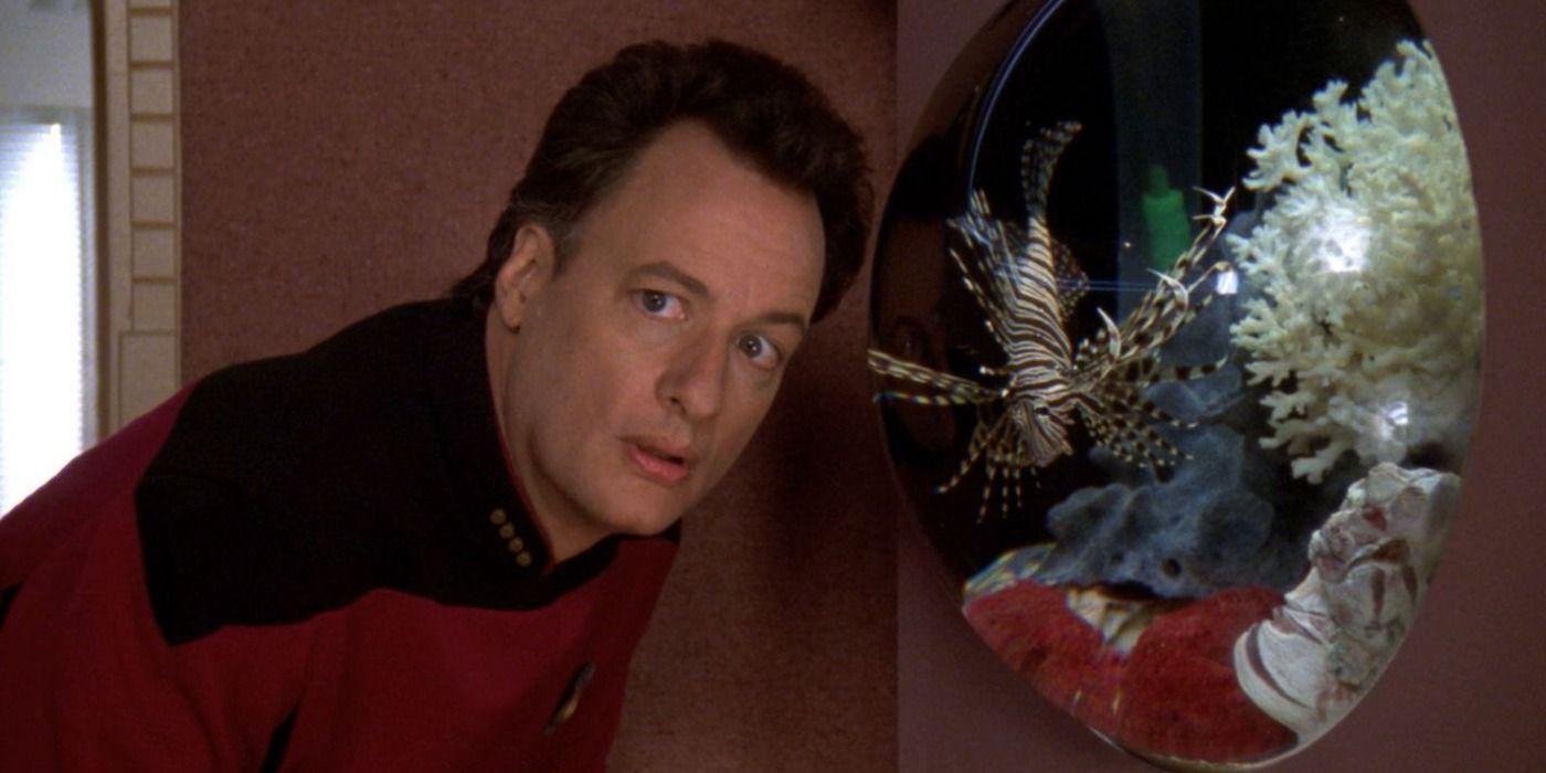 Star Trek vient de mettre en place 1 espèce aussi forte que le Q