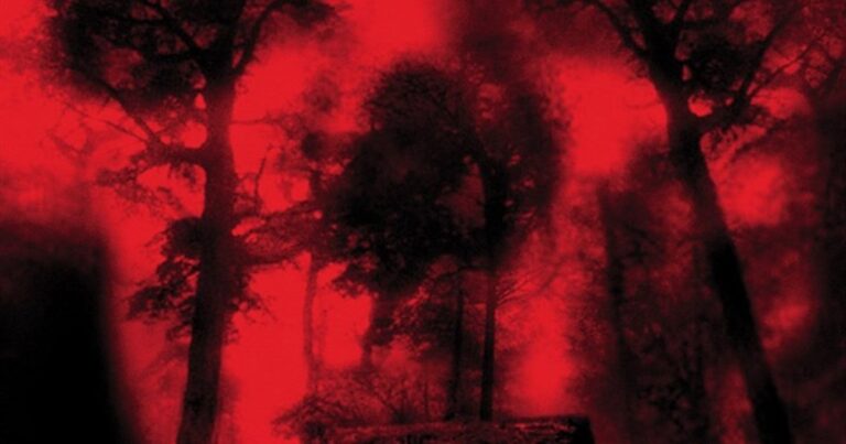 Le premier film d&rsquo;Eli Roth, Cabin Fever, est toujours un bon moment gluant et sanglant