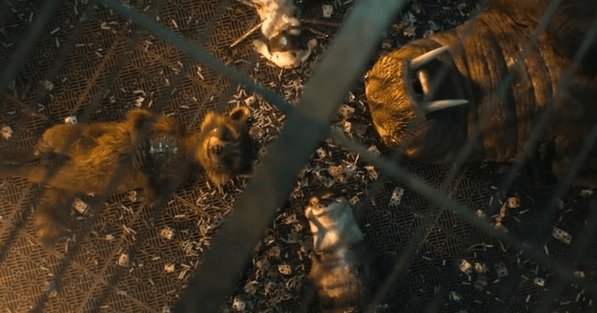 Superviseur de production VFX de GOTG 3 sur la création des flashbacks de Rocket