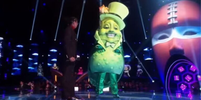 Le chanteur masqué : identité et indices de cornichon