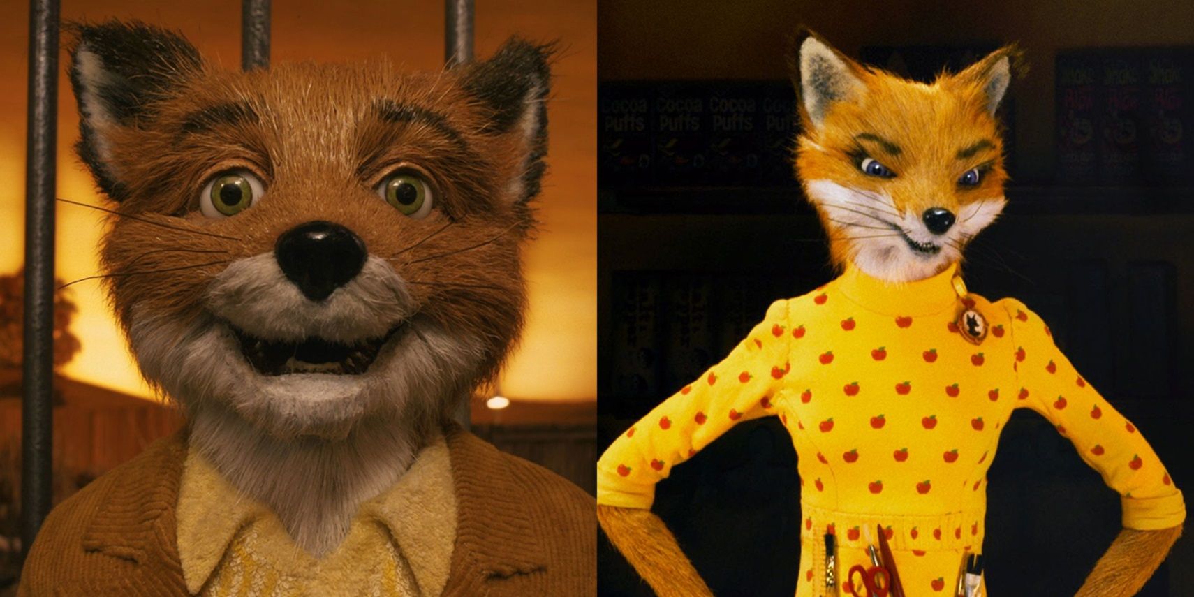 15 meilleures citations fantastiques de M. Fox