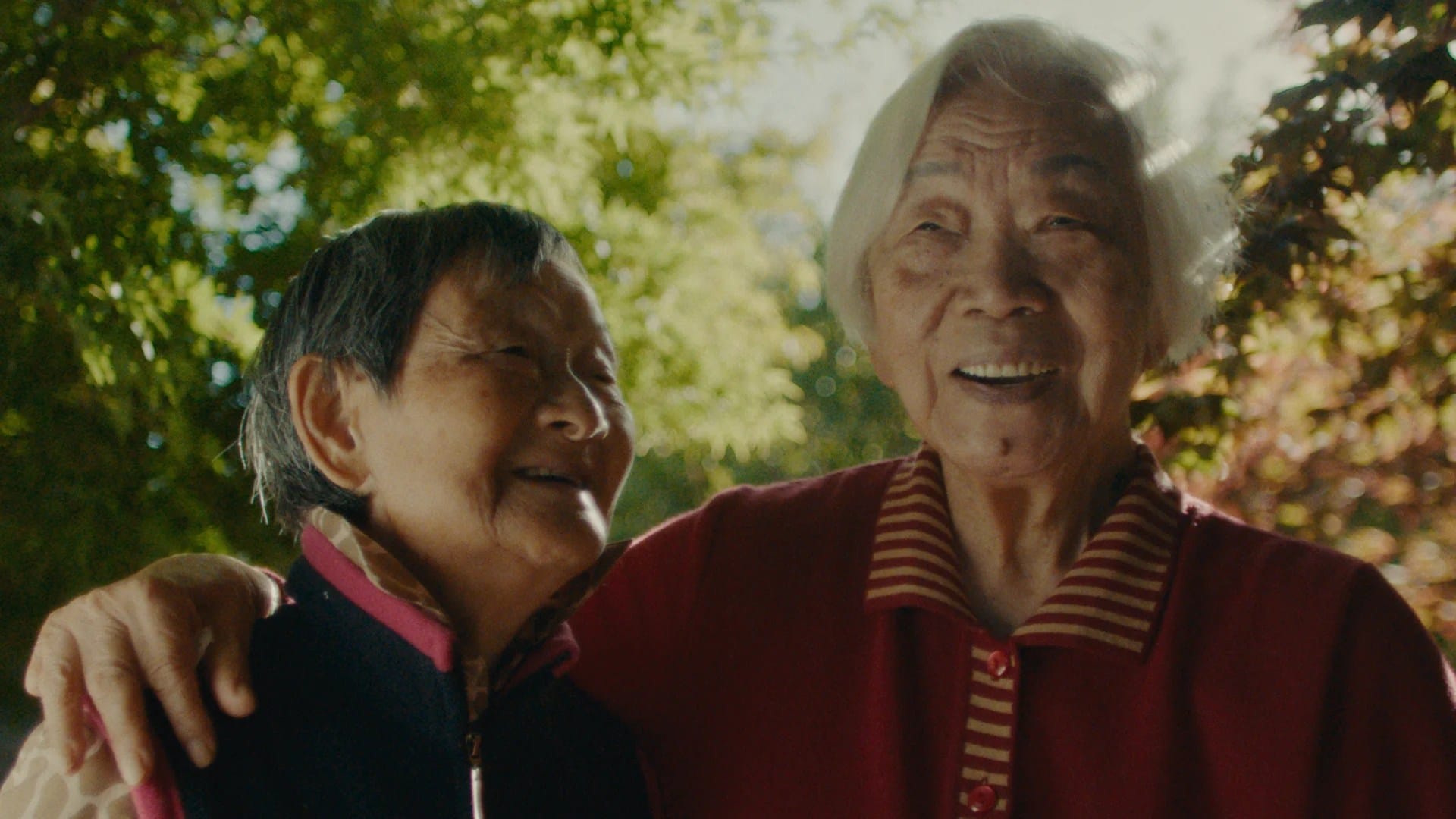 AFI Fest 2023 : « Năi Nai & Wài Pó », « Chutes » et « Closing Dynasty » remportent les Grands Prix du Jury