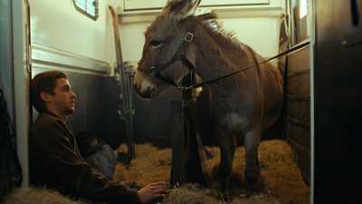 Criterion Launches Excellent Janus Contemporaries Series | TV/Streaming
