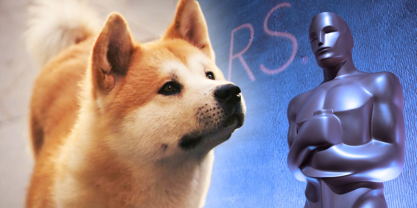 La première fois que les Oscars ont nominé un chien pour le meilleur scénario adapté