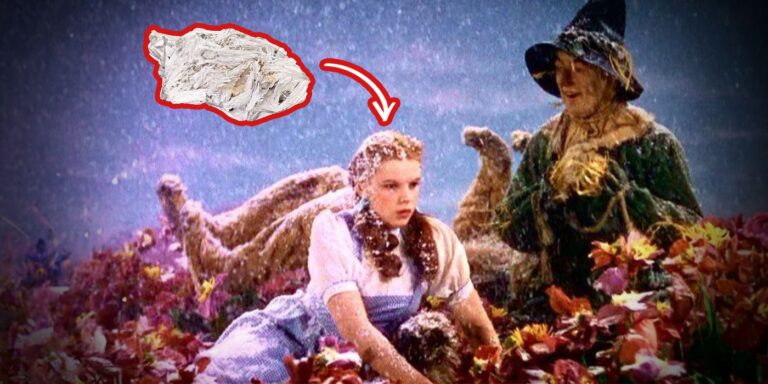 La neige dans Le Magicien d&rsquo;Oz était composée à 100 % d&rsquo;amiante pure