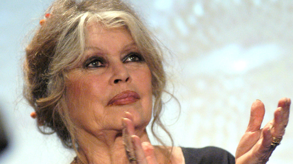 Brigitte Bardot, 89 ans : une photo inédite de la célébrité révélée en...