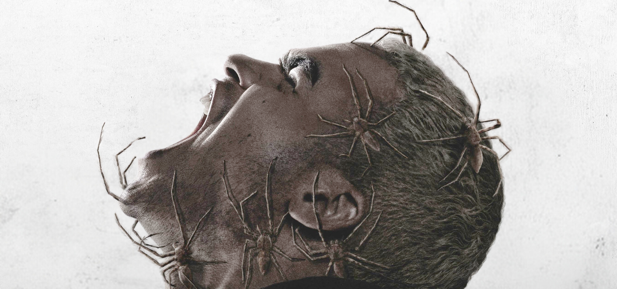 Vermines : critique d'un vrai film d'horreur avec des araignées de la mort qui tue