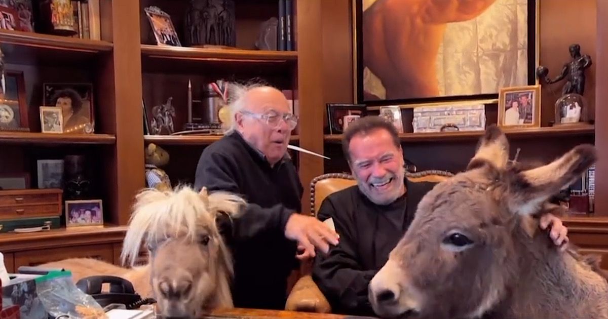 Arnold Schwarzenegger et Danny DeVito organisent une réunion surprise de jumeaux