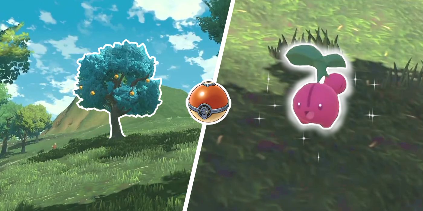 Où trouver (et attraper) des chérubins dans Pokémon Legends : Arceus