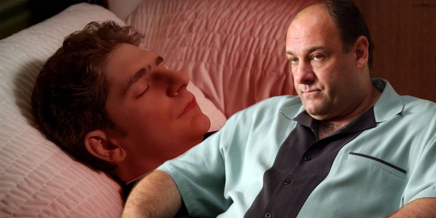Les Sopranos : Pourquoi Tony a tué Christopher dans la saison 6