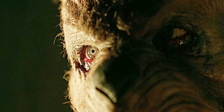 Winnie-the-Pooh : les nouvelles images de Blood & Honey 2 montrent un regard plus attentif sur Ch…