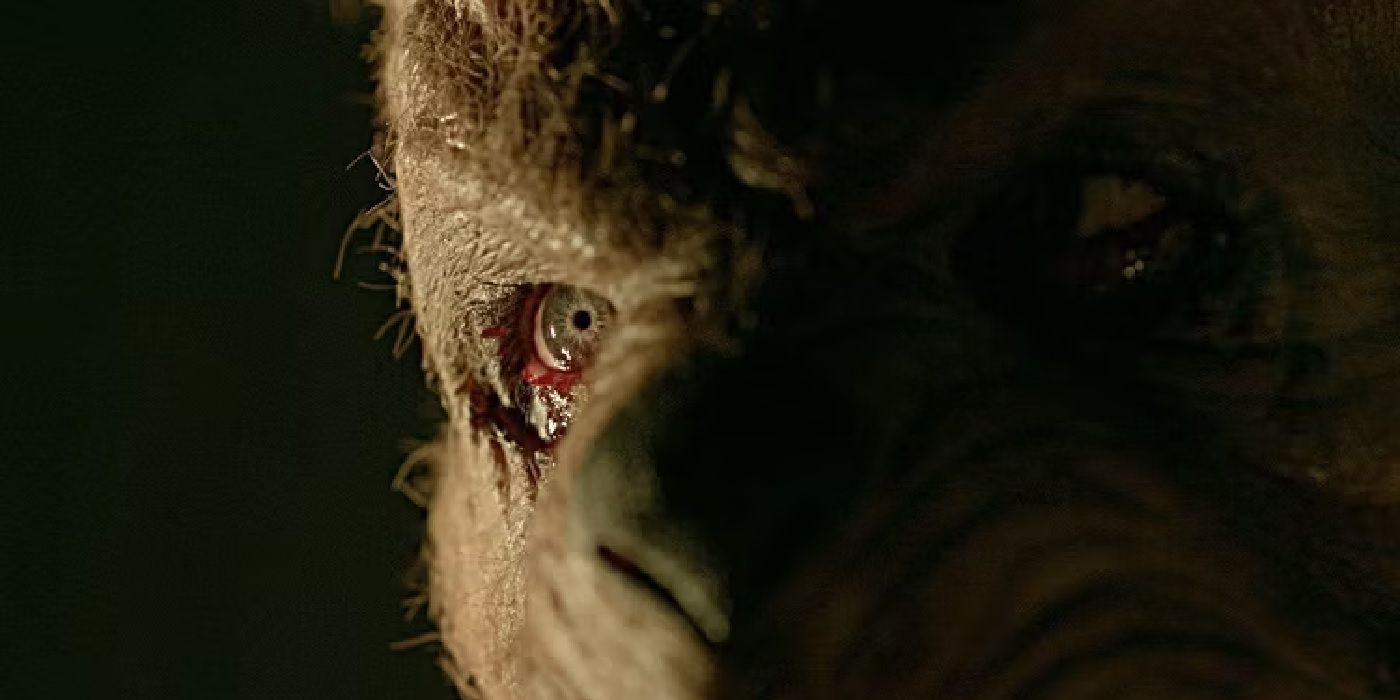 Blood and Honey 2 révèle la nouvelle image grotesque de Pooh