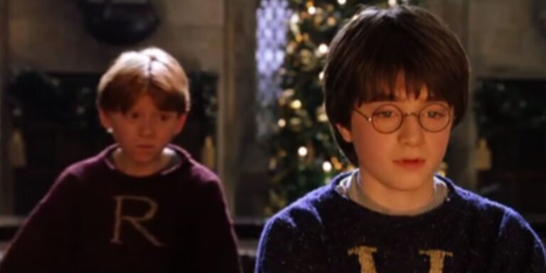 « Harry Potter et le prince demi-représentant » : tout le monde est braqué (même Hedwige…
