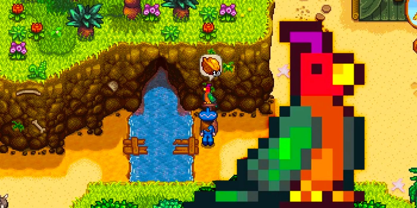 Stardew Valley : chaque emplacement de Golden Walnut
