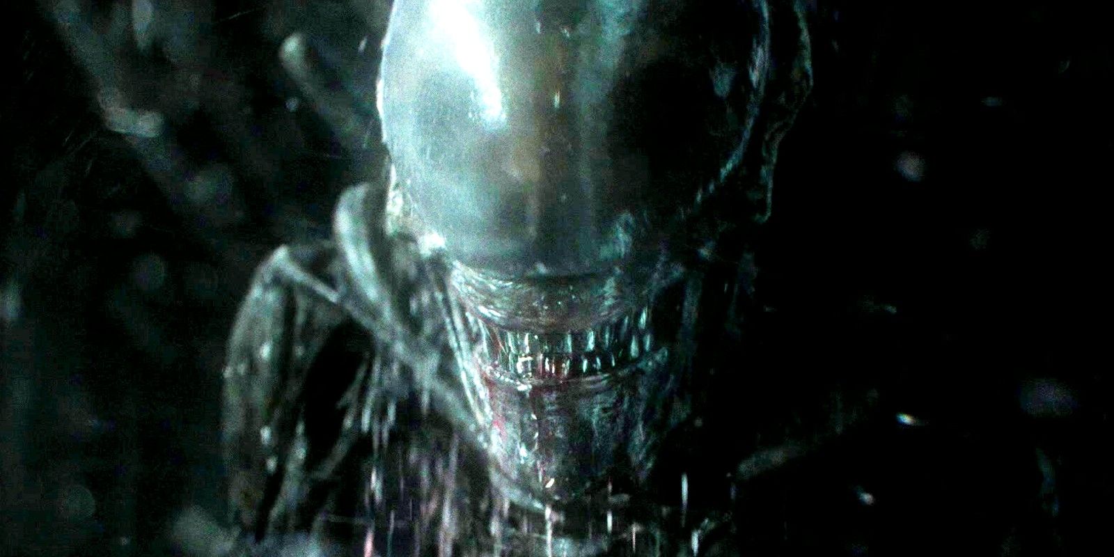 Le statut de tournage de l'émission télévisée Alien après l'arrêt de la production devient encourageant...