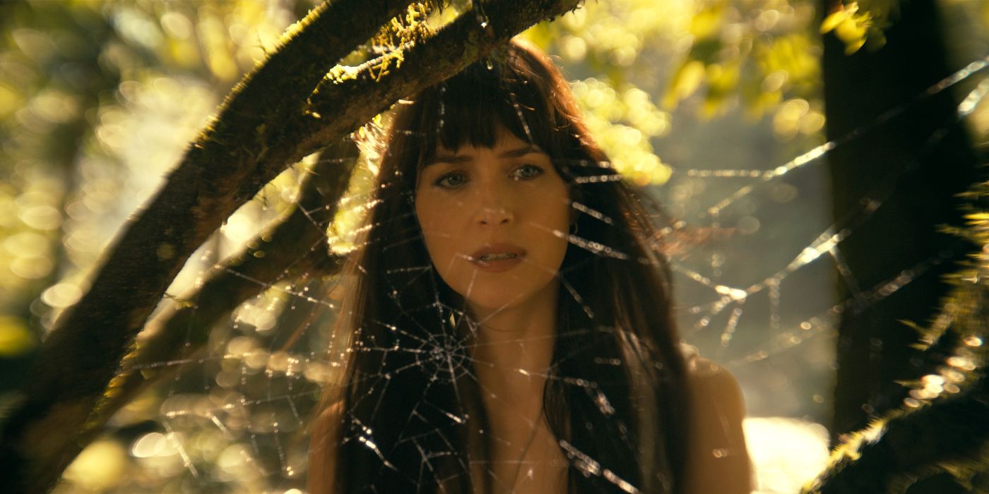 Madame Web Director déclare que le film Spider-Man de Sony se trouve dans un format "autonome"