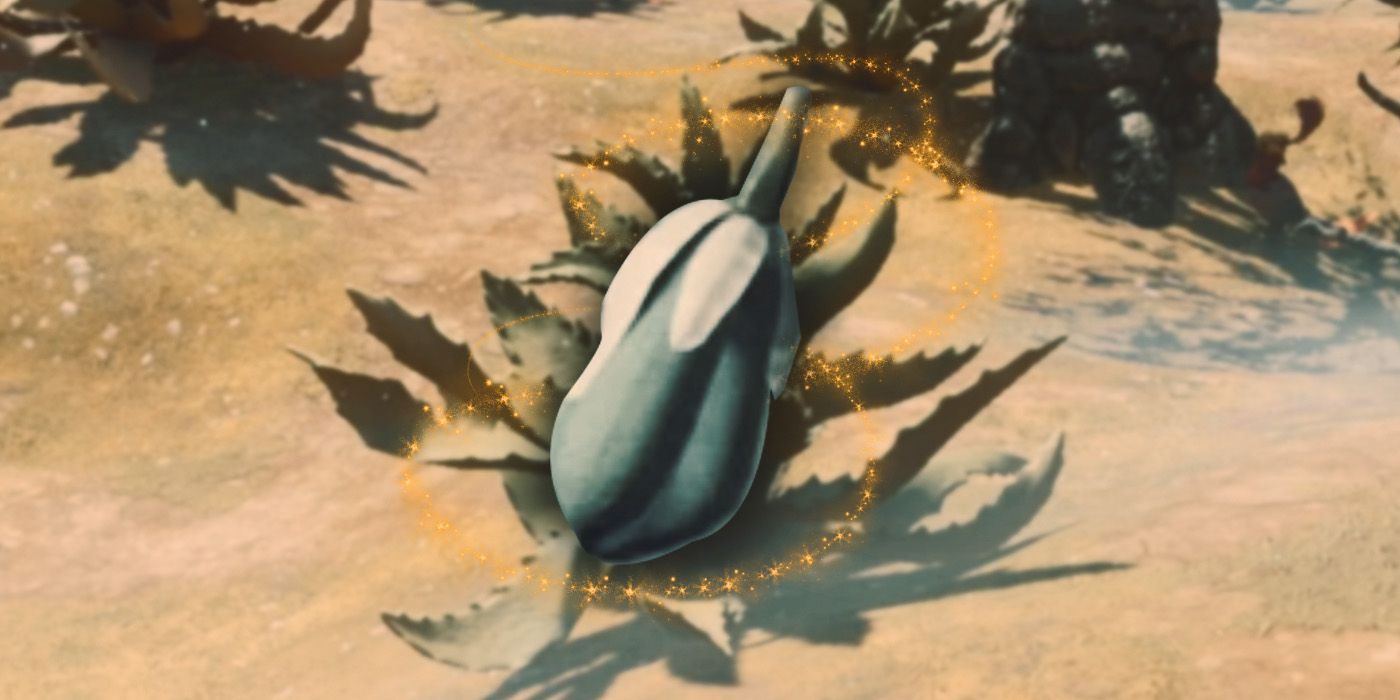 Comment obtenir (et utiliser) des fruits de yucca enveloppés