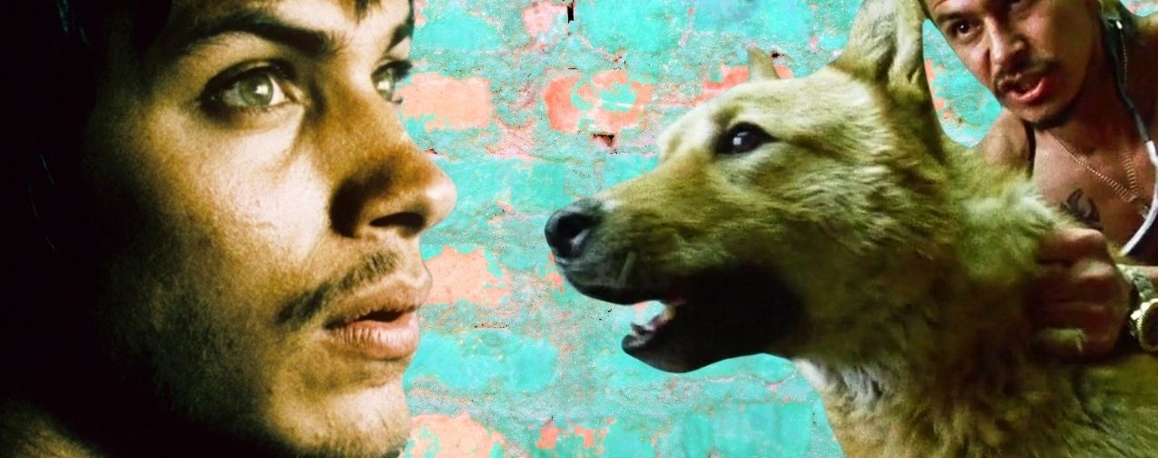 Avant The revenant et Birdman : la naissance d'un géant du cinéma dans l'impitoyable Amour chiennes