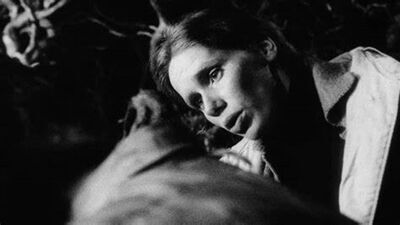 Bergman&rsquo;s Hour of the Wolf: Another Look at an Underrated Masterpiece