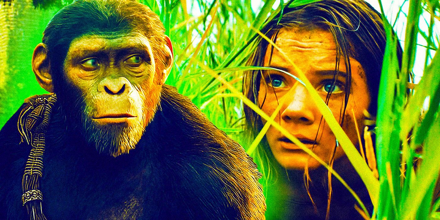 Qu’est-ce que le Royaume de la planète des singes ?