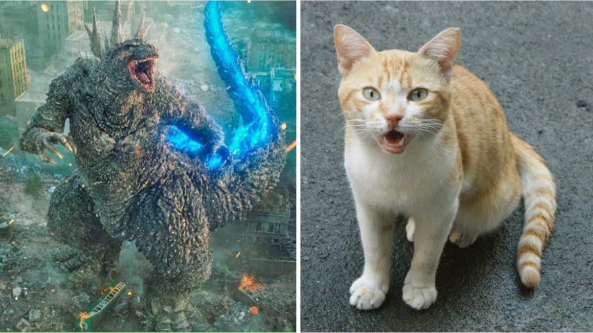 Le réalisateur de "Godzilla moins un" déclare que ses animaux de compagnie ont inspiré le grand monstre : "J'aime tellement mes chats".