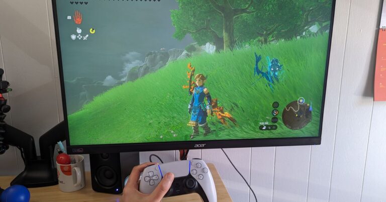 Parfois, la meilleure manette Switch est une manette PlayStation