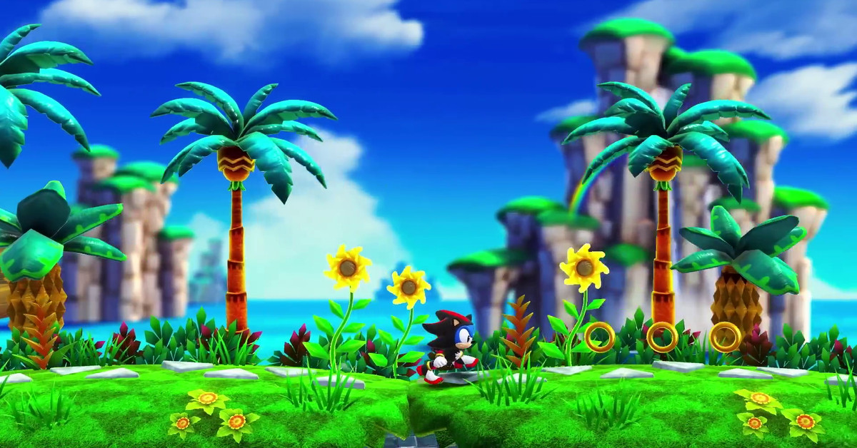 Sonic le hérisson déguisé en Shadow m'a brisé le cerveau