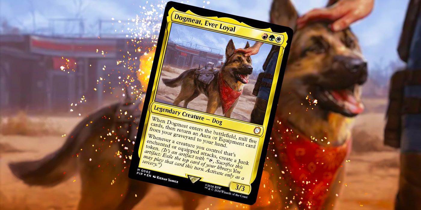 Les meilleures cartes pour améliorer votre deck Scrappy Survivors Fallout Precon (...
