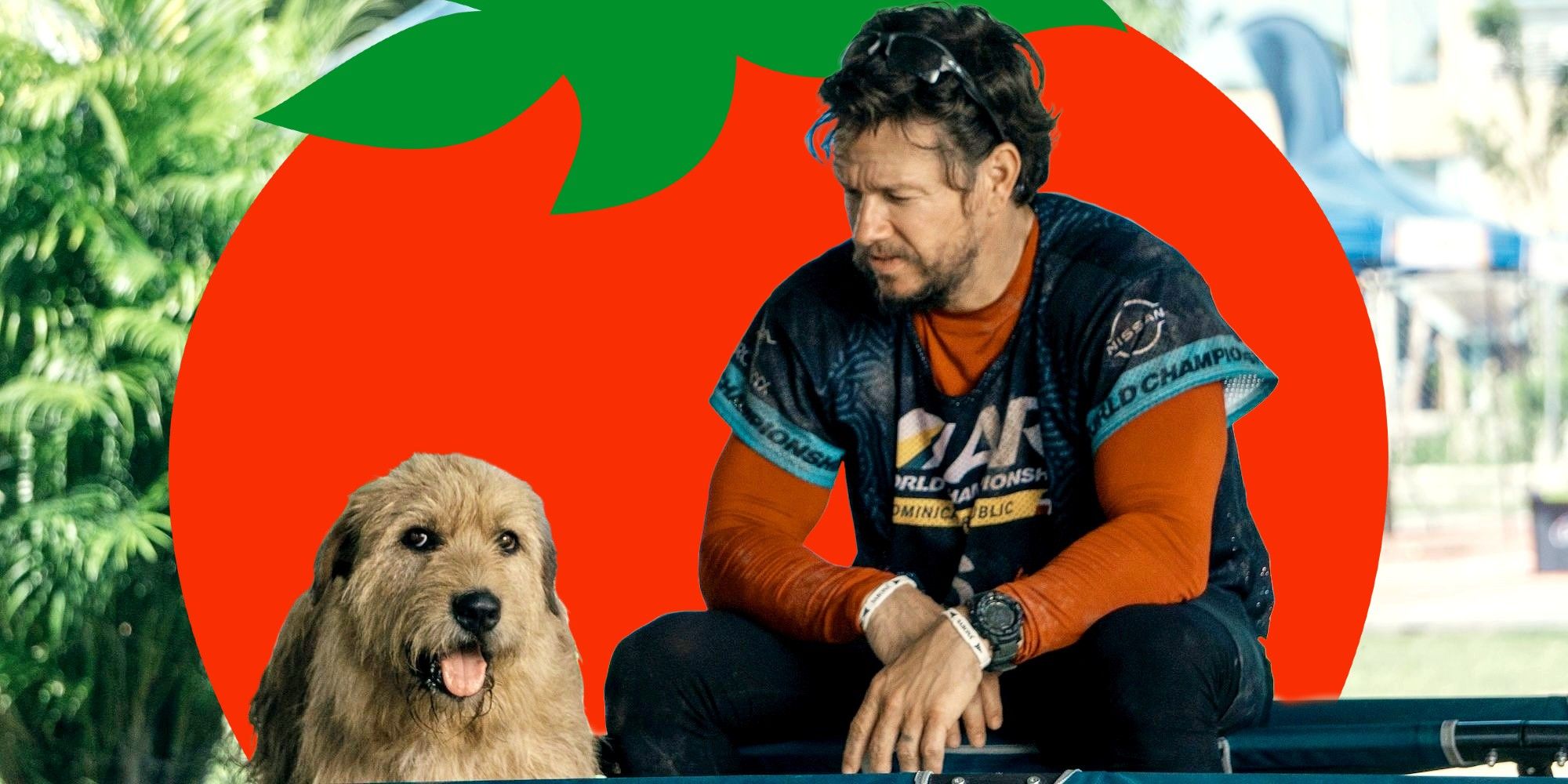 Mark Wahlberg brise la séquence des pauvres tomates pourries avec un nouveau film dramatique