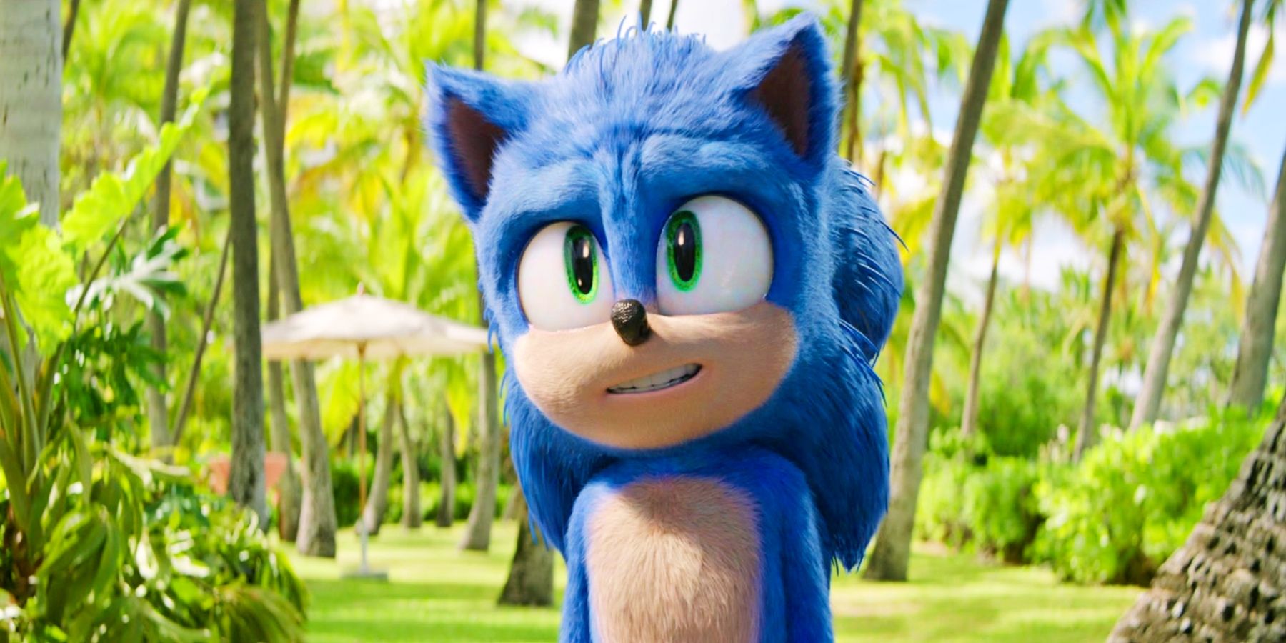 Sonic The Hedgehog 3 termine le tournage, confirme James Marsden