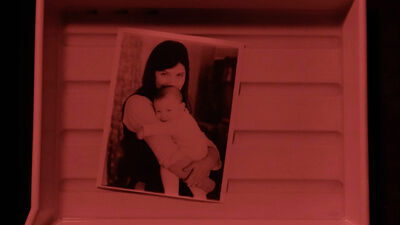 True/False 2024: A Photographic Memory, There Was There Was Not, Three