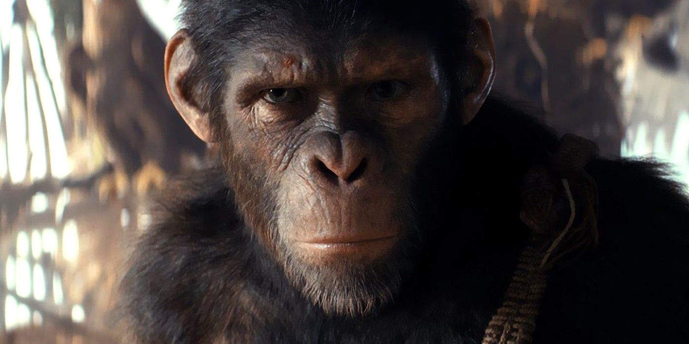 Le Royaume de la Planète des Singes établit une durée d'exécution record pour l'ensemble