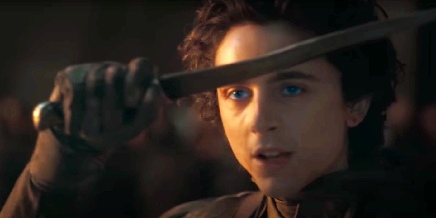 Le box-office de Dune 2 bat le record mondial pour Timothée Chalamet