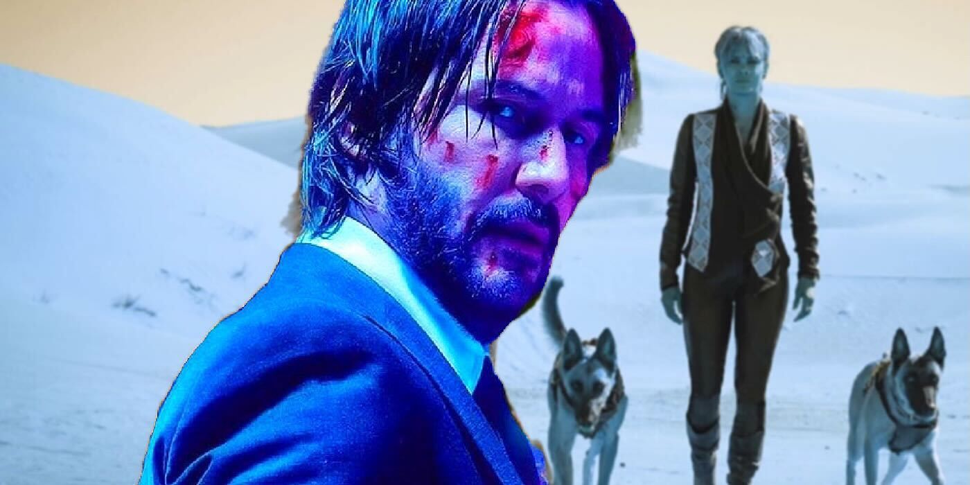 Dans quelle mesure les combats de chiens de la franchise John Wick sont-ils réalistes ?  Un expert de l'armée