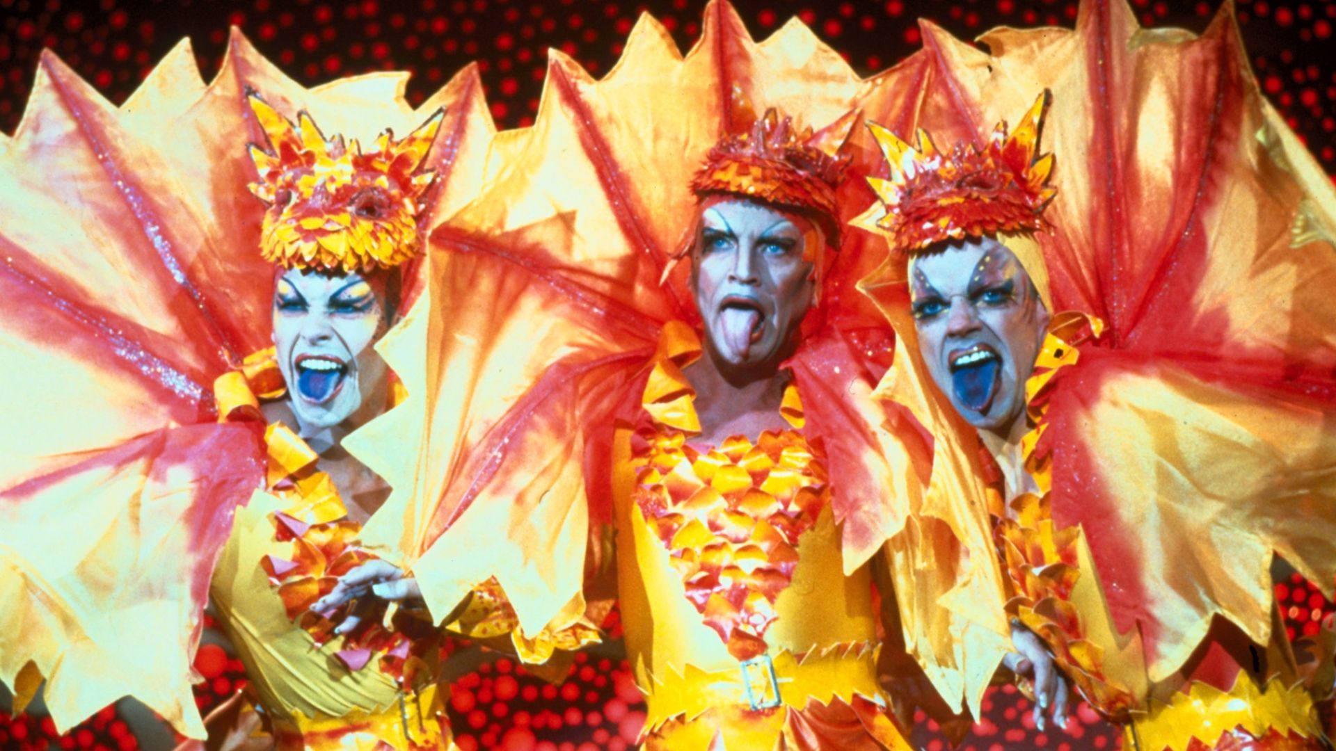Guy Pearce, Hugo Weaving et Terence Stamp sont de retour ensemble pour