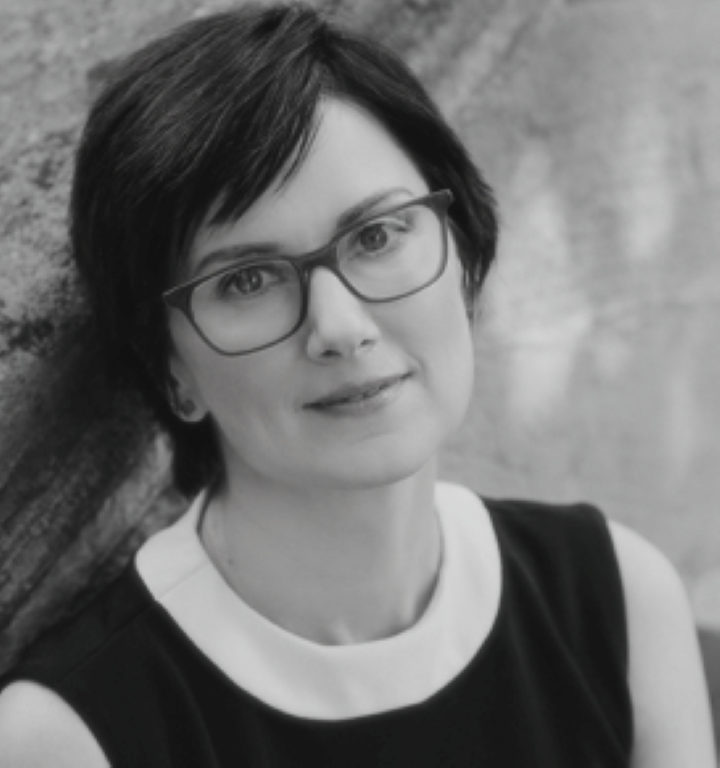 Introducing Ebertfest 25s Film Critics and Scholars