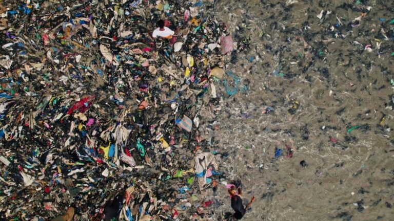 La réalisatrice de « Brandy Hellville », Eva Orner, déclare que le scandale de la marque a pris fin dans la « pure mode trumpienne »