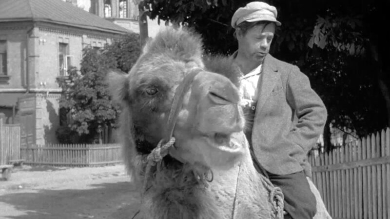San Francisco Silent Film Festival Highlights Unearthed Treasures of