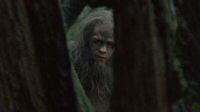Sasquatch Sunset Avis critique du film (2024)