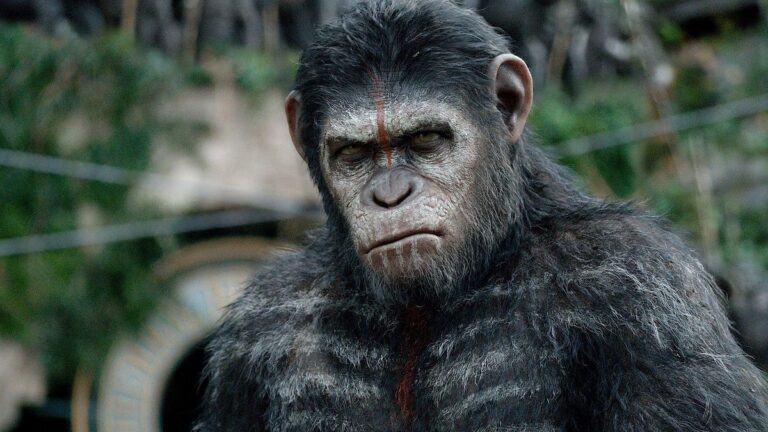 Comment regarder les films La Planète des singes dans l'ordre