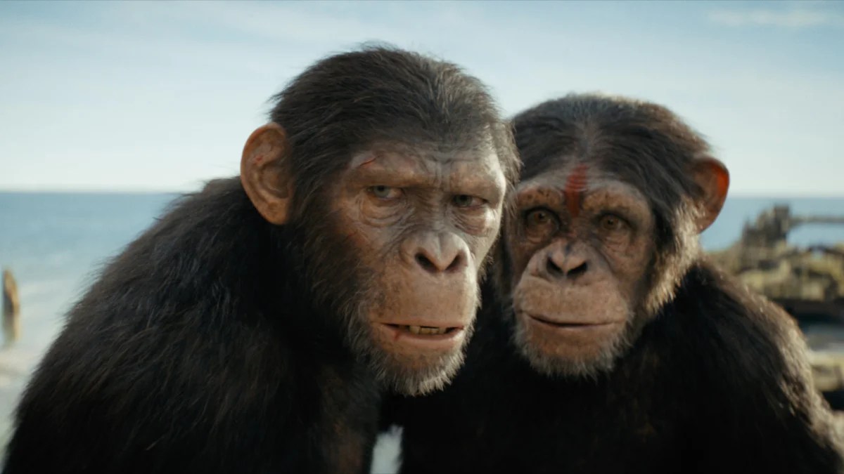 Revue du Royaume de la planète des singes : la suite est une déévolution pour la franchise