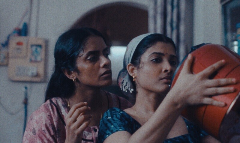 Cannes 2024 The Seed of the Sacred Fig All We