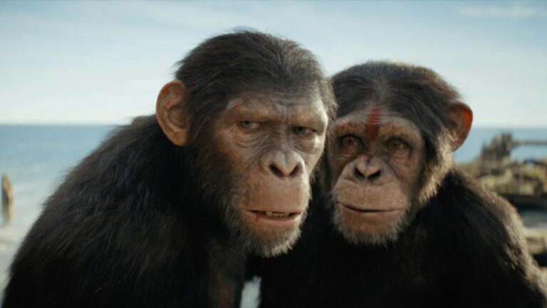 Les règles du « Royaume de la planète des singes » Liste des titres qui enthousiasment le plus les consommateurs