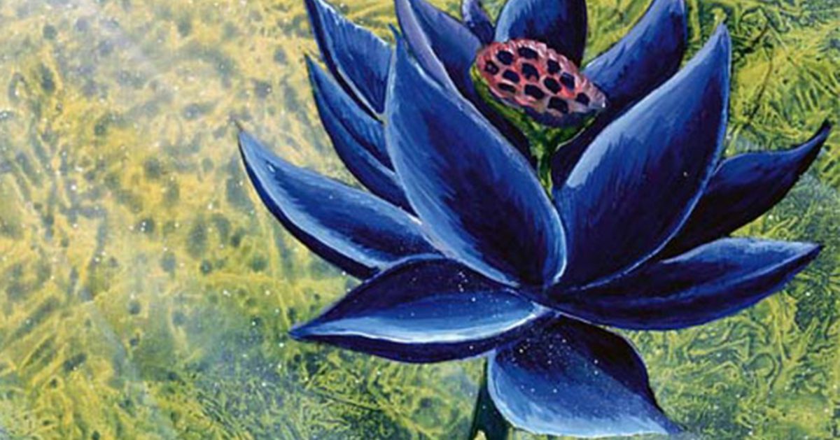Magic: The Gathering Black Lotus vendu pour un montant record de 3 millions de dollars
