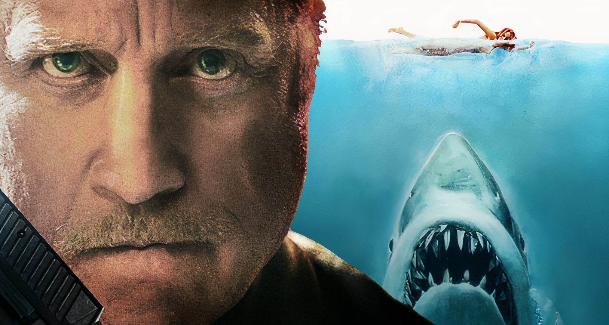 Richard Dreyfuss suscite l'indignation avec des commentaires controversés sur Jaws