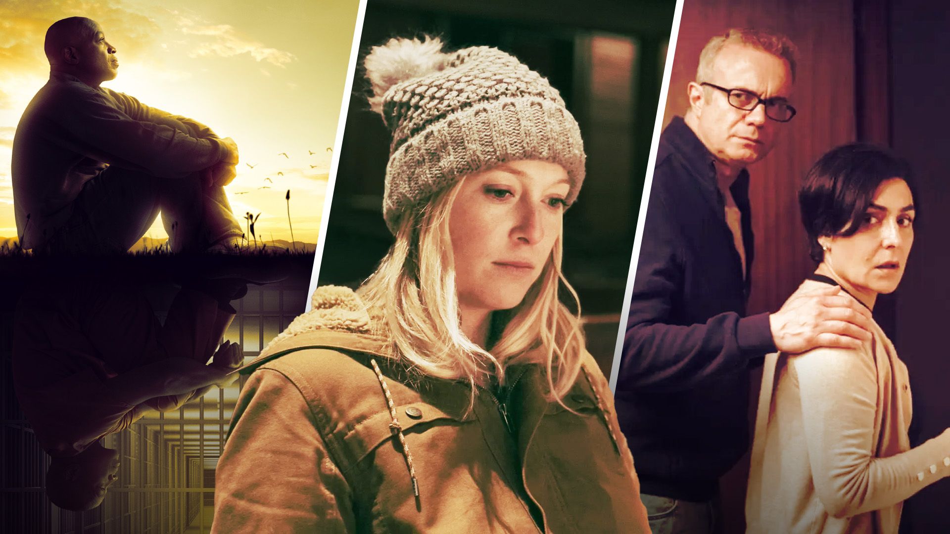 10 meilleures séries limitées avec 100 % sur les tomates pourries
