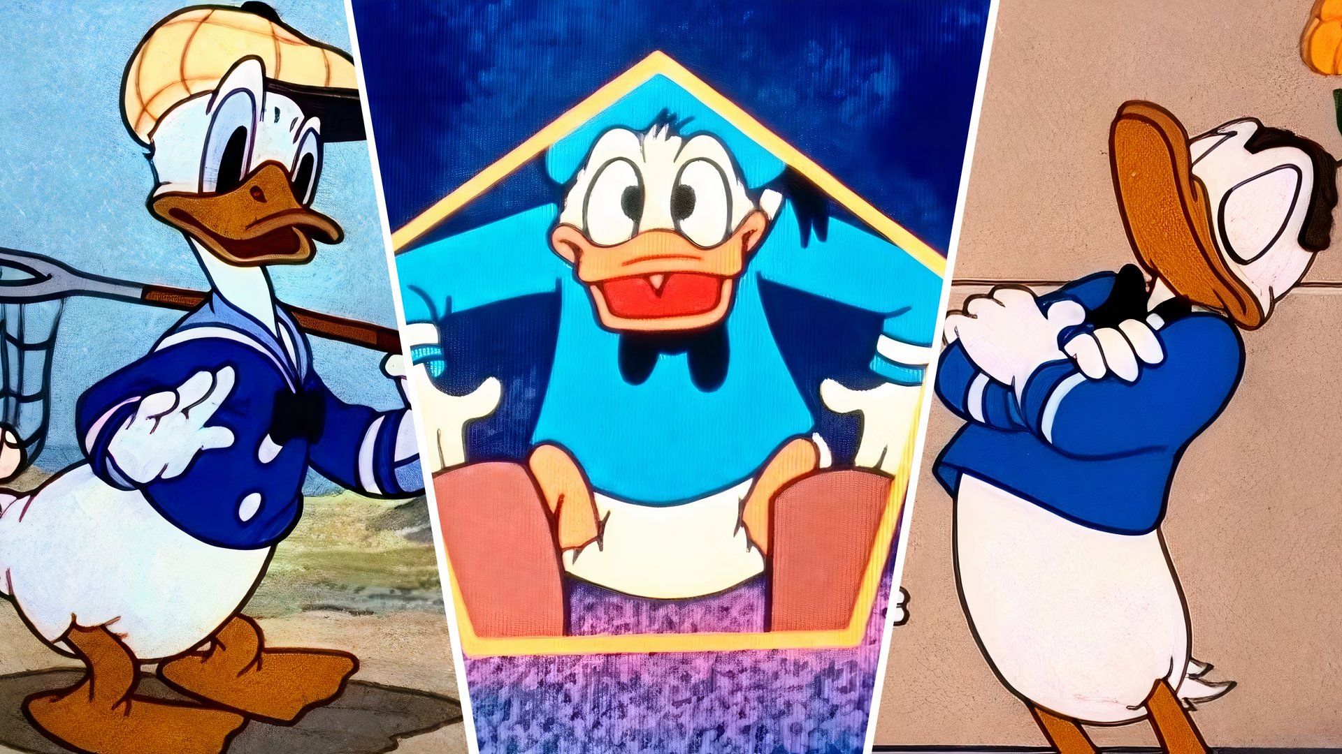 10 shorts classiques de Donald Duck animés par Disney