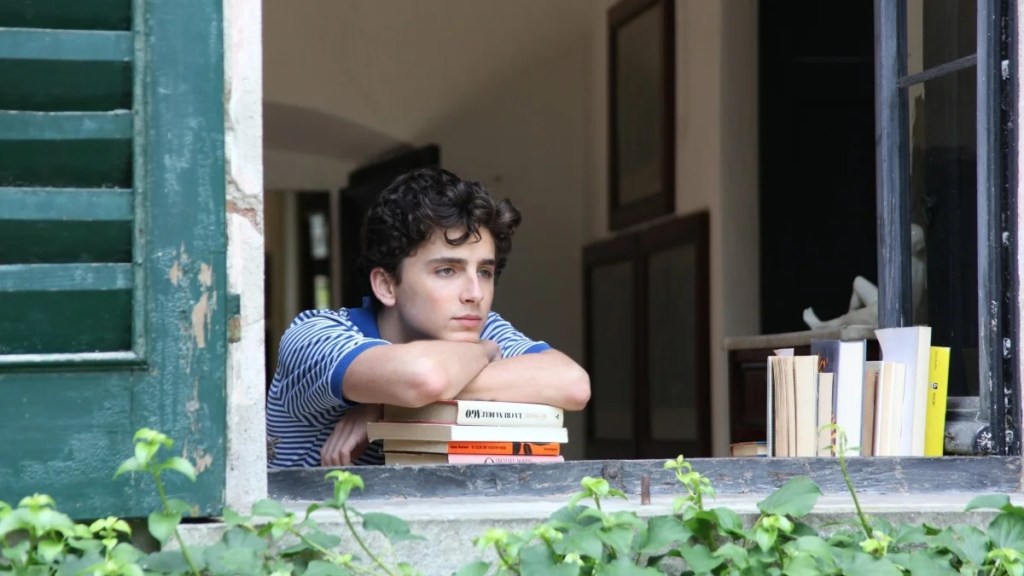 appelle-moi-par-ton-nom-timothee-chalamet