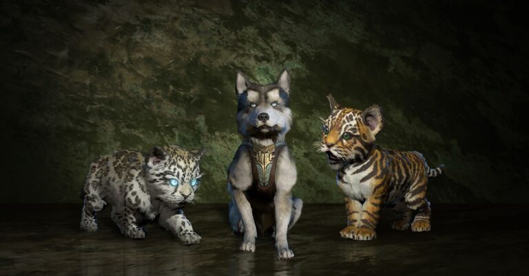 Diablo 4 ajoute des animaux de compagnie au jeu, et ils récupéreront votre or et vos pierres précieuses